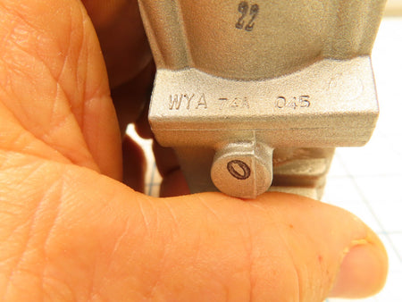 Image #7