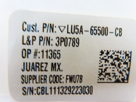 Image #6