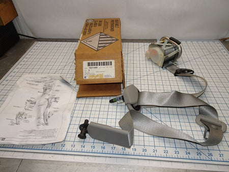 Image #8