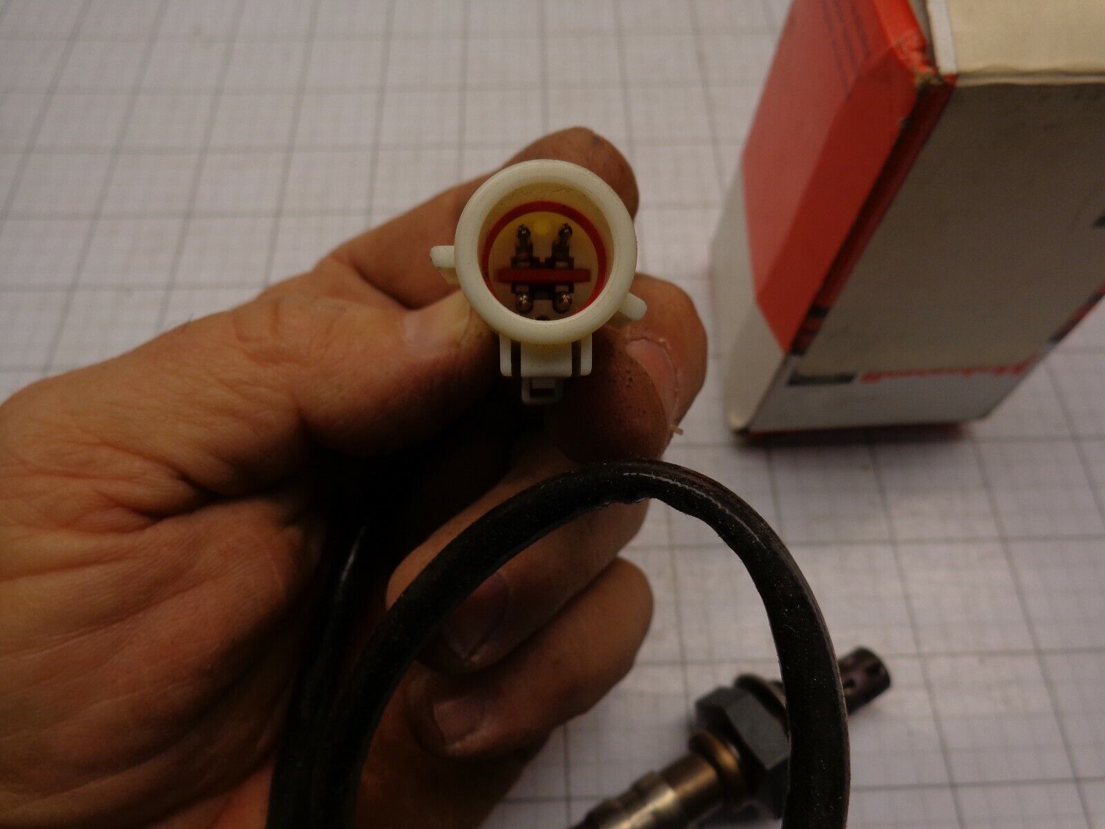 Image #2