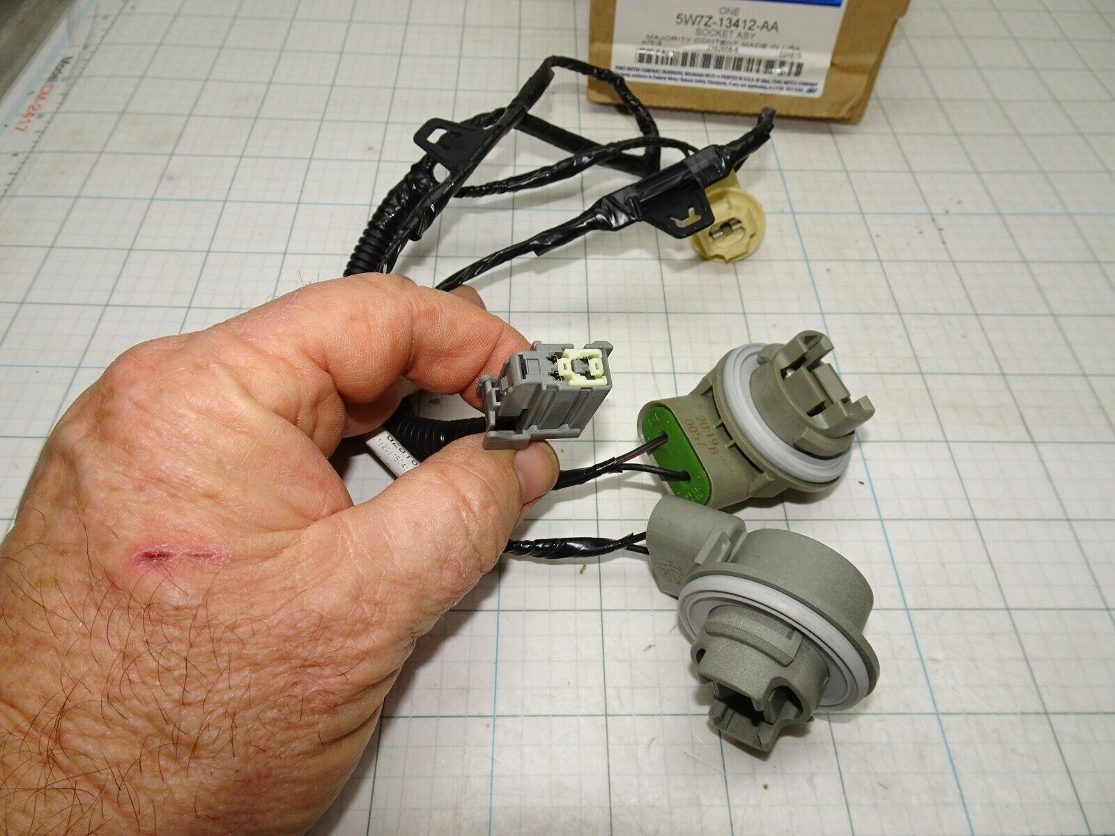 Image #2