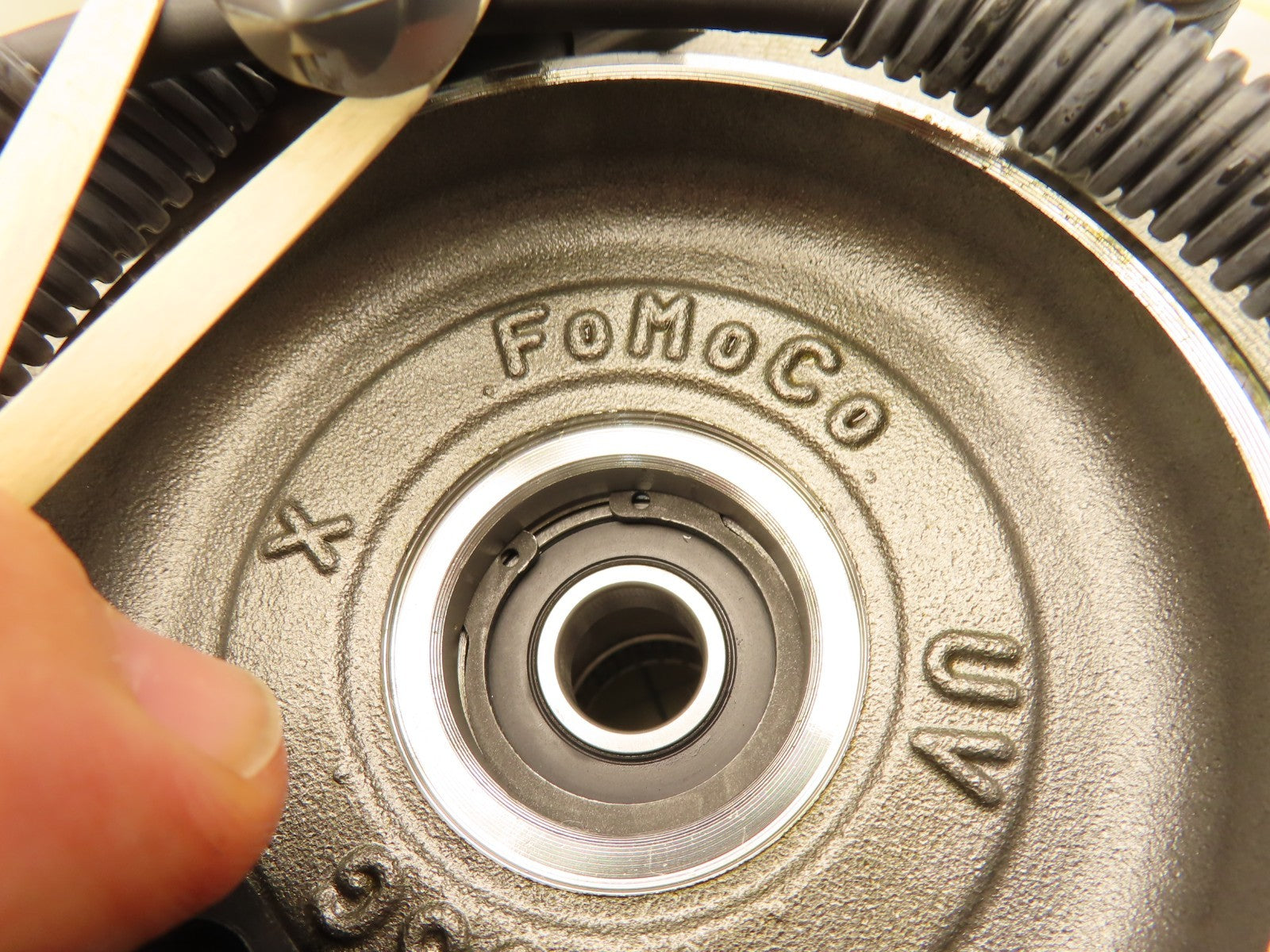 Image #2