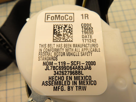 Image #7