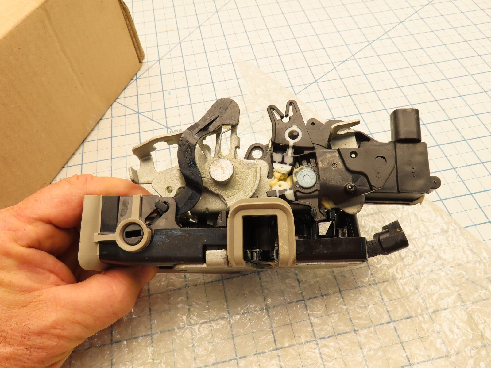 Image #4
