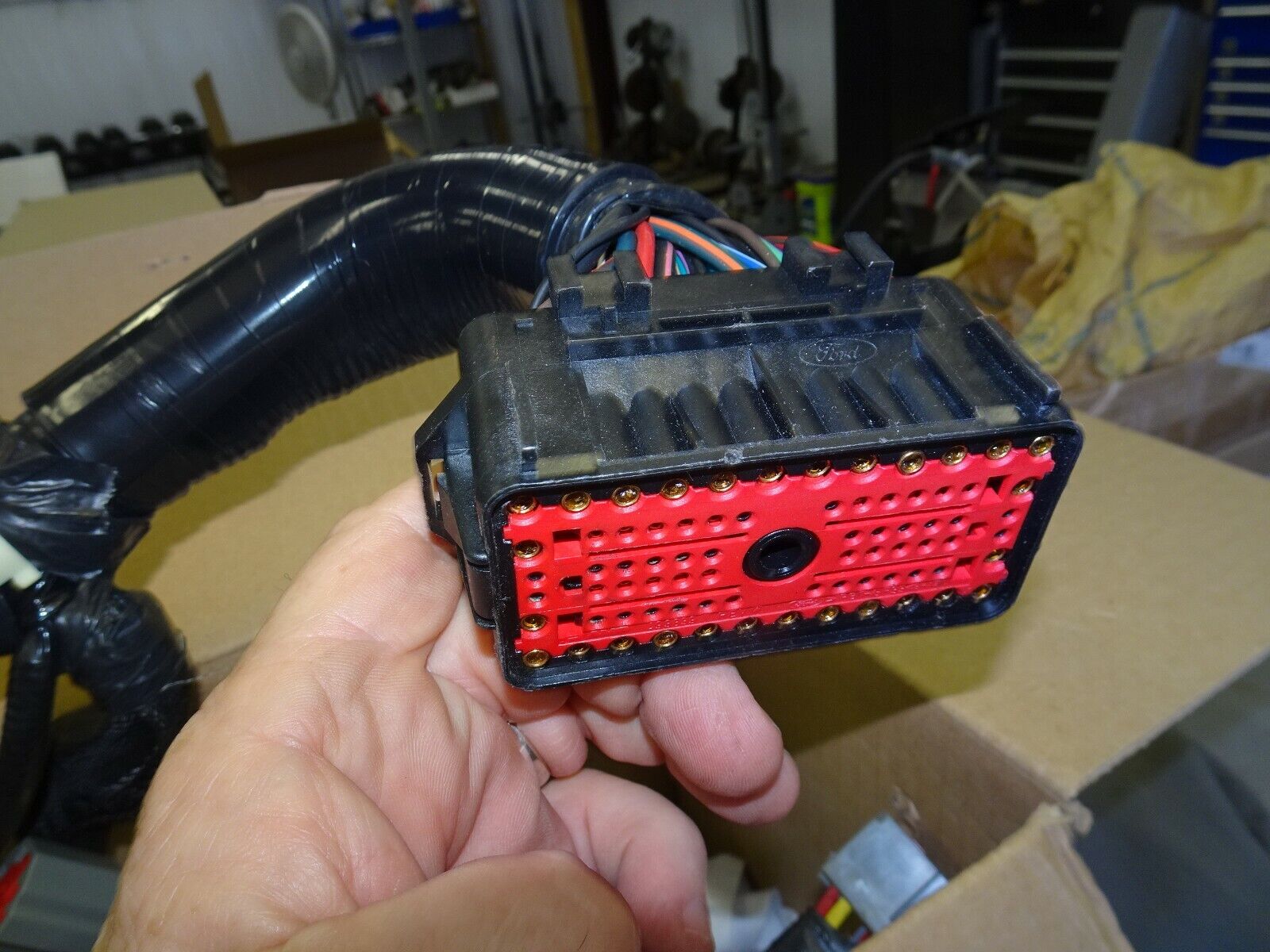 Image #3