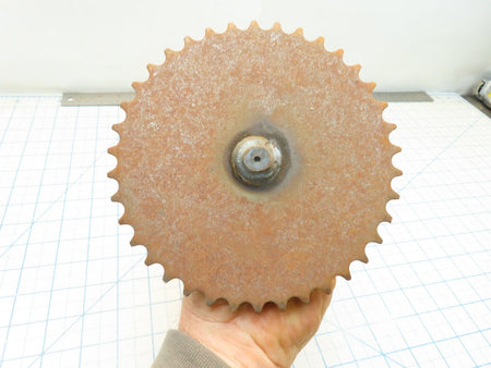 Image #4