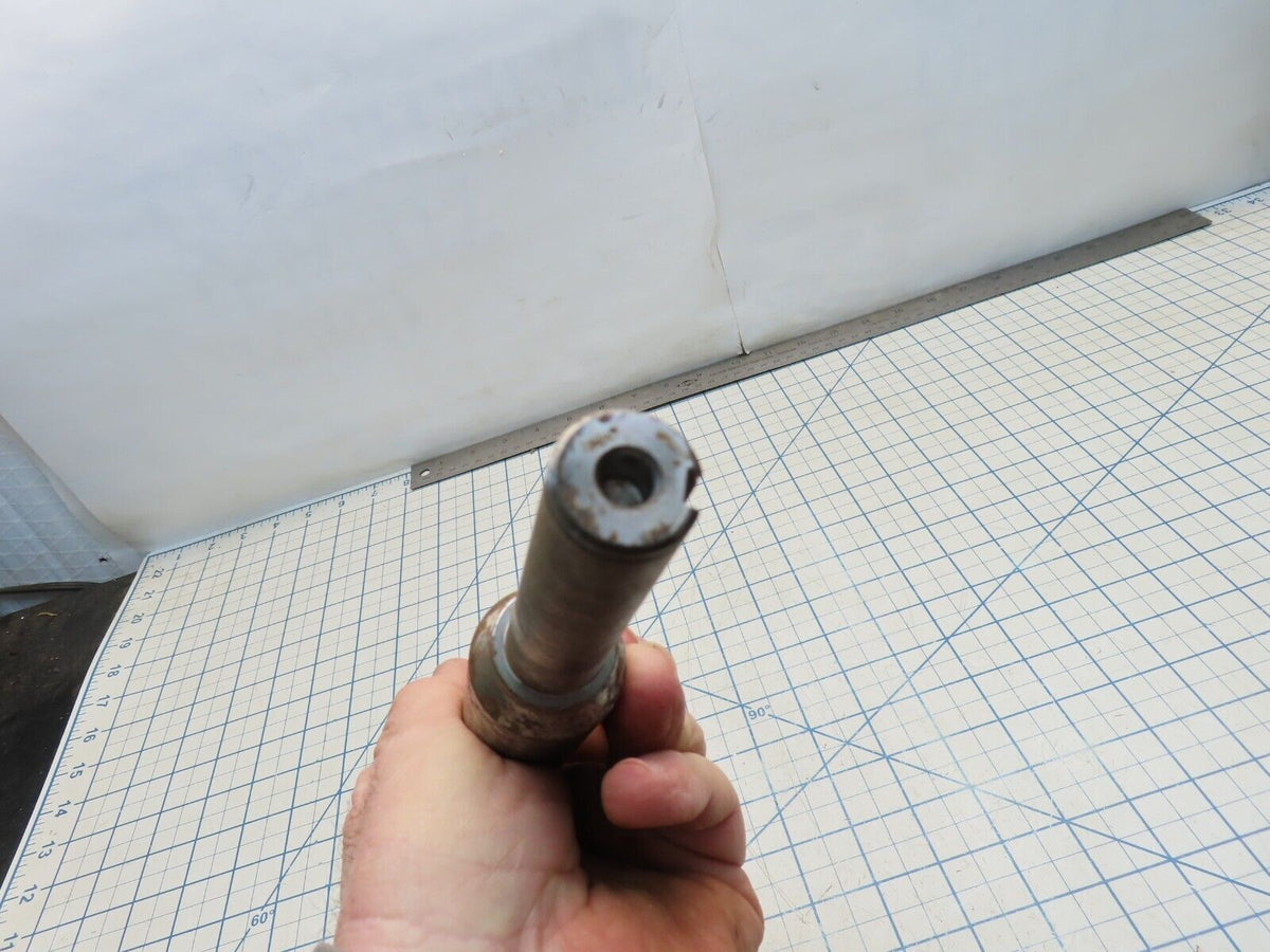 Image #7